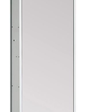 ASIS 300
